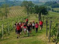 ALLENAMENTO DI NORDIC WALKING