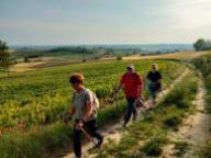 ALLENAMENTO DI NORDIC WALKING