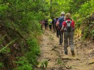 ALLENAMENTO DI NORDIC WALKING