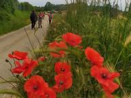 ALLENAMENTO DI NORDIC WALKING