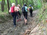 ALLENAMENTO DI NORDIC WALKING