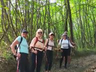 ALLENAMENTO DI NORDIC WALKING