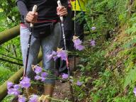 ALLENAMENTO DI NORDIC WALKING