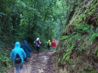 ALLENAMENTO DI NORDIC WALKING