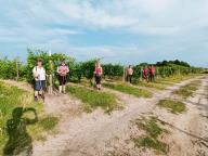 ALLENAMENTO DI NORDIC WALKING