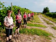 ALLENAMENTO DI NORDIC WALKING