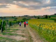 ALLENAMENTO DI NORDIC WALKING