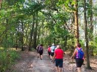 ALLENAMENTO DI NORDIC WALKING