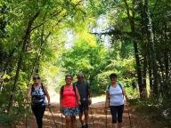 ALLENAMENTO DI NORDIC WALKING