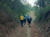 ALLENAMENTO DI NORDIC WALKING