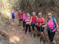 ALLENAMENTI DI NORDIC WALKING