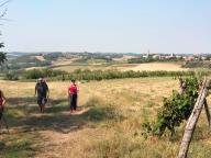 ALLENAMENTO DI NORDIC WALKING