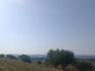 ALLENAMENTO DI NORDIC WALKING