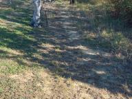 ALLENAMENTO DI NORDIC WALKING