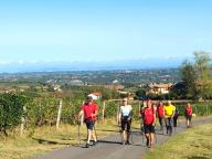 ALLENAMENTO DI NORDIC WALKING