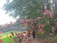 ALLENAMENTO DI NORDIC WALKING