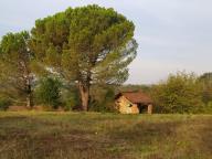 ALLENAMENTO DI NORDIC WALKING