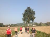 ALLENAMENTO DI NORDIC WALKING