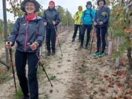 ALLENAMENTO DI NORDIC WALKING