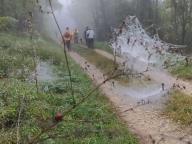 ALLENAMENTO DI NORDIC WALKING