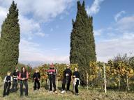 ALLENAMENTO DI NORDIC WALKING