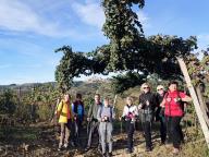 ALLENAMENTO DI NORDIC WALKING