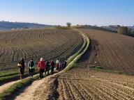 ALLENAMENTO DI NORDIC WALKING