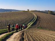 ALLENAMENTO DI NORDIC WALKING