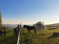 ALLENAMENTO DI NORDIC WALKING