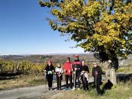 ALLENAMENTO DI NORDIC WALKING