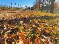 ALLENAMENTO DI NORDIC WALKING