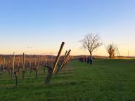 ALLENAMENTO DI NORDIC WALKING