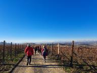 ALLENAMENTO DI NORDIC WALKING