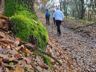 ALLENAMENTO DI NORDIC WALKING