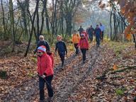 ALLENAMENTO DI NORDIC WALKING