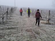 ALLENAMENTO DI NORDIC WALKING