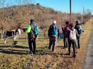 ALLENAMENTO DI NORDIC WALKING