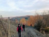 ALLENAMENTO DI NORDIC WALKING