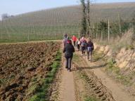 ALLENAMENTO DI NORDIC WALKING