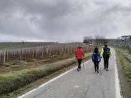 ALLENAMENTO DI NORDIC WALKING