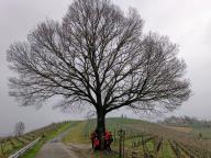 ALLENAMENTO DI NORDIC WALKING