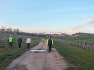 ALLENAMENTO DI NORDIC WALKING