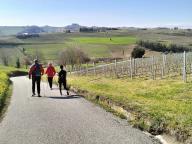 ALLENAMENTO DI NORDIC WALKING