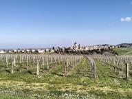 ALLENAMENTO DI NORDIC WALKING