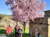 ALLENAMENTO DI NORDIC WALKING