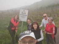 ALLENAMENTO DI NORDIC WALKING