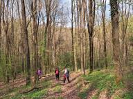 ALLENAMENTO DI NORDIC WALKING
