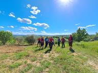 ALLENAMENTO DI NORDIC WALKING