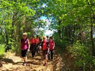 ALLENAMENTO DI NORDIC WALKING