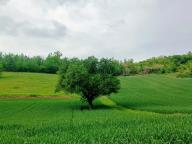 ALLENAMENTO DI NORDIC WALKING